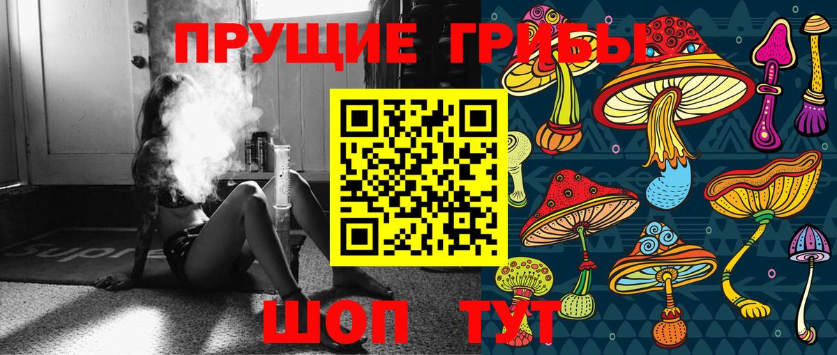 Псилоцибиновые грибы Psilocybe Солнечногорск