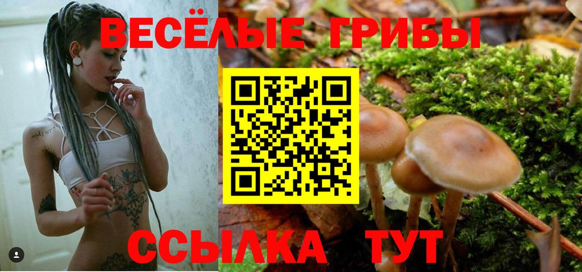 Псилоцибиновые грибы Magic Shrooms  Вход с VPN  Солнечногорск  где можно купить наркотик  Галлюциногенные грибы мицелий 